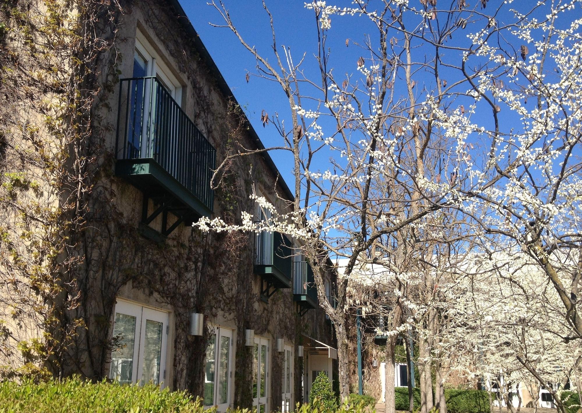 Southbridge Napa Valley St. Helena Exteriér fotografie